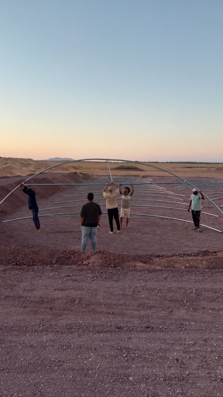 موقع Vermi Valley في الوادي الجديد