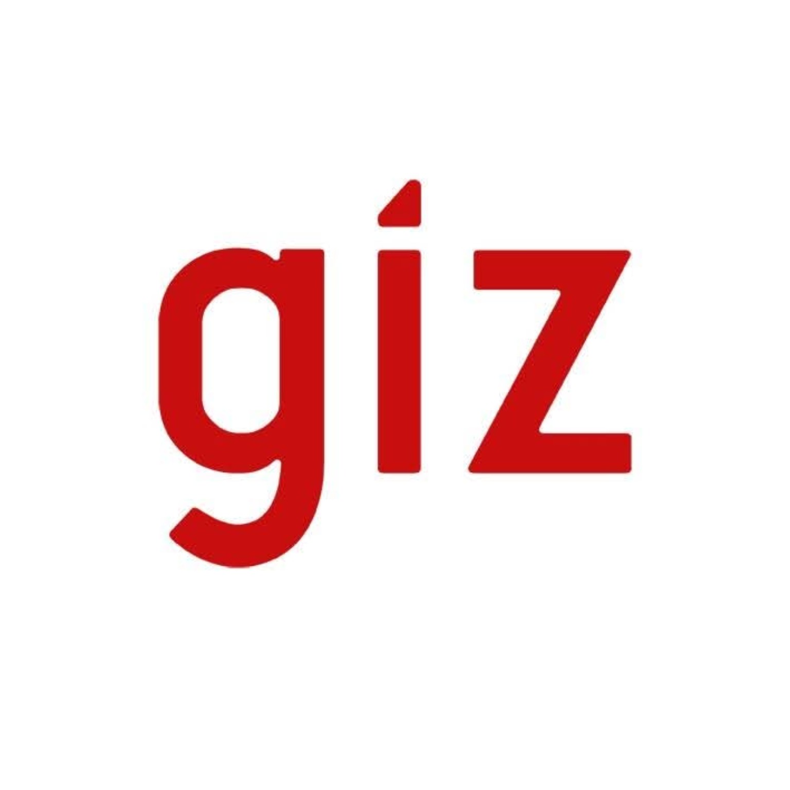 GIZ Egypt logo